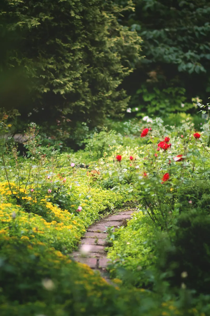 Signature style demo: garden path with greenery and roses